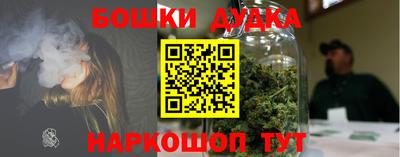 гашик Берёзовский