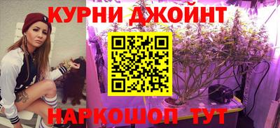 гидропоника Бийск