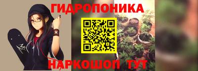 гашик Берёзовский