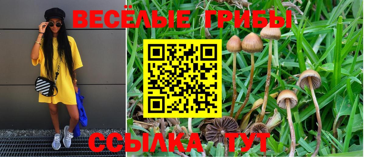 Клинцы  Галлюциногенные грибы ЛСД  Вход с VPN 